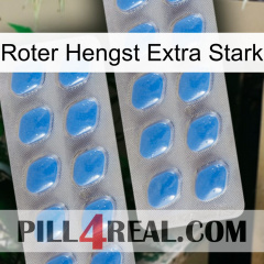 Red Stallion Extra Strong 23